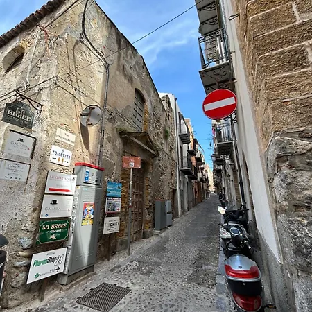 November House شقة